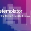 Elementor Custom Skin Pro 3.0.0