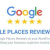 Google Places Reviews Pro 2.3.1