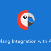 Polylang Extension 1.2.4 for AMP