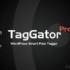 TagGator Pro 2.0 – WordPress Auto Tagging Plugin