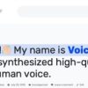 Voicer 2.0.3 – Text to Speech Plugin for WordPress