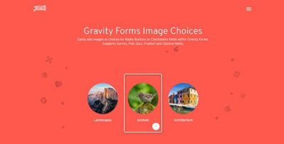 Gravity Forms Image Choices