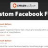 Custom Facebook Feed Pro
