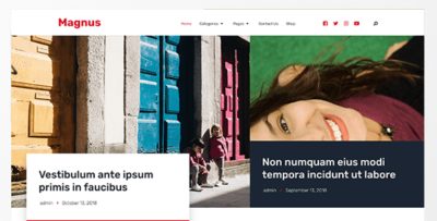 MyThemeShop Magnus WordPress Theme 1.0.18