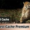 WP Fastest Cache Premium 1.6.0