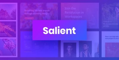 Salient WordPress Theme