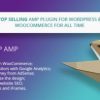WP AMP WordPress Plugin 9.3.26