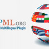 WPML String Translation Addon