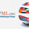 WPML WordPress Multilingual Plugin