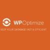 WP-Optimize Premium Plugin
