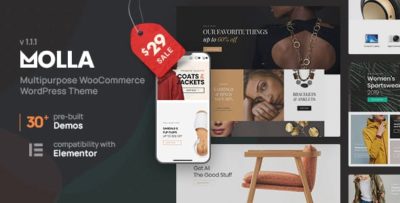 Molla MultiPurpose WooCommerce Theme