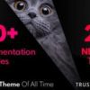 Bimber Viral Magazine WordPress Theme