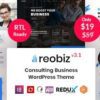 Reobiz Consulting Business Theme