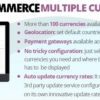WooCommerce Multiple Currencies 5.3