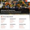 TownPress Municipality WordPress Theme