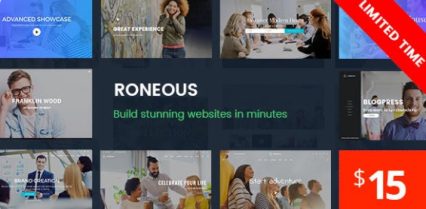 Roneous Creative WordPress Theme