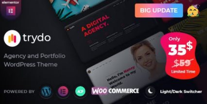 Trydo Agency and Portfolio Theme