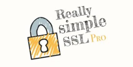 Really Simple SSL Pro Plugin