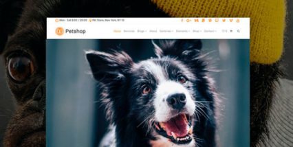 Visual Modo Petshop WordPress Theme