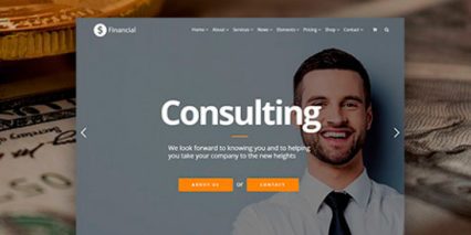 Visual Modo Financial WordPress Theme