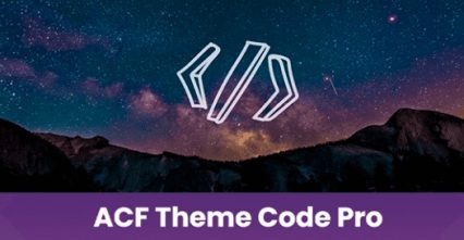 ACF Theme Code Pro Plugin