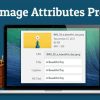 Image Attributes Pro WordPress Plugin