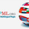 WPML WPForms Multilingual Addon